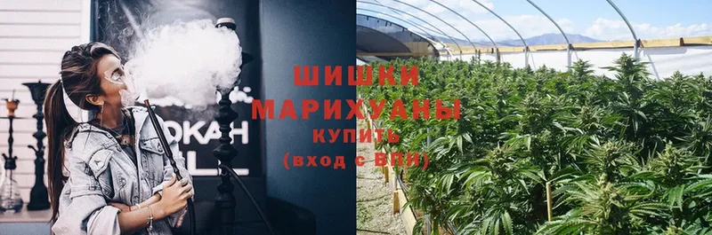 Шишки марихуана White Widow  Белово 